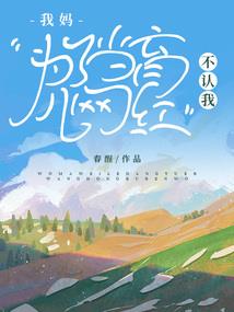 我的世界旗子