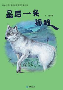 魔兽大脚插件是什么意思