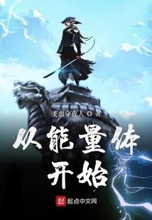 流星装备机体