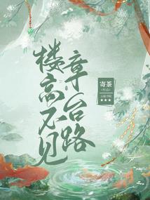 女号装备太贵了