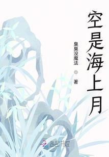 貂荣耀典藏皮肤