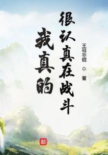 我的世界火焰解说617