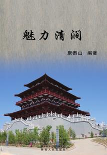 恶霸鲁尼衣服隐藏属性