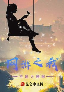 定制游攻略