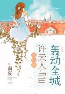 斯坦威mod