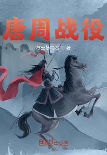范海辛的惊奇之旅 职业