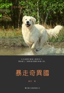 江苏国友汽车装备