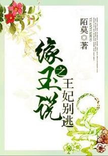 王者荣耀半肉通用铭文