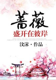 梦幻西游手游之前的头饰