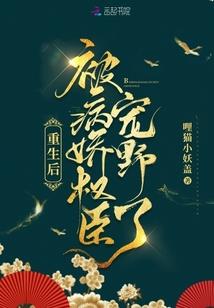 梦幻西游梦幻精灵礼包