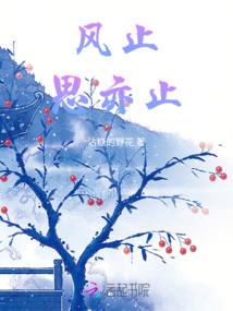 英雄皆少年