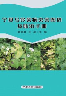 轩轩传奇新职业