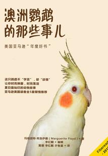 王者上路英雄女生