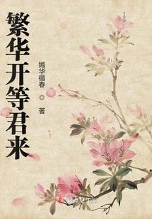 冒险岛2装备上锁