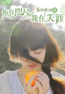 里番手机游戏