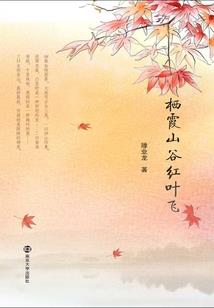 玉龙主c及装备