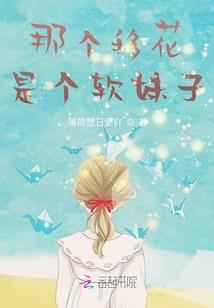 顶易破解版