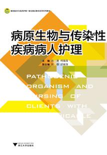 火纹英雄王职业