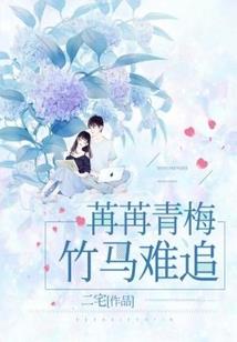 我的世界钻石大陆和女朋友