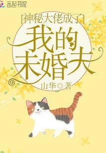 属性建设