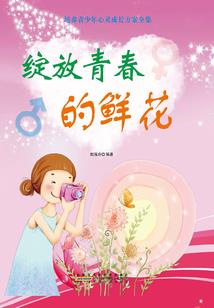 破解版小偷