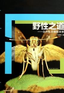 梦幻西游装备价格