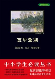 王者辅助人之歌