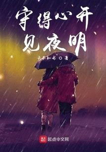 xvidocs破解版