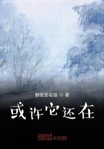 梦幻西游宠物速度多少