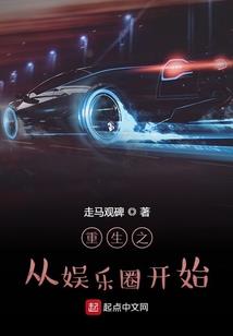 nplayer 破解版
