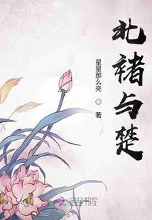 lol北美大叔