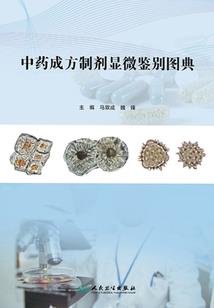 梦幻西游初级指南