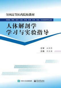 我的世界飞机打雷