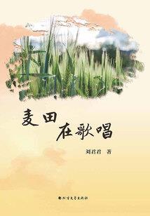 北京京西大悦城攻略