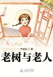 梦幻西游打书 教学在哪