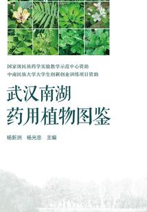 痞子英雄电影在线观看