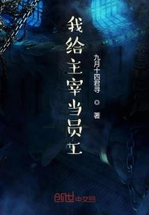 中国职业群