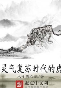 865游戏