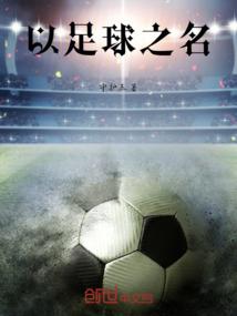 海棠文学城破解版怎么样