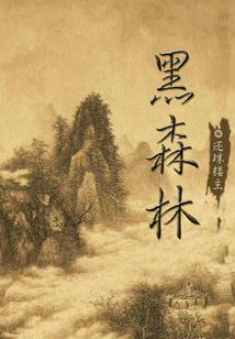暗影9装备搭配