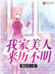 星闪小椒新流派破解版