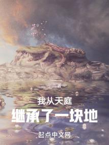雅雯游戏
