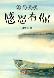 ps4破版