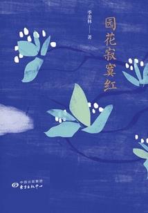 荒野夜路小说