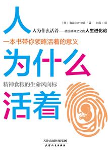 ps4调画质差