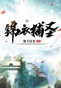 职业攻略小说