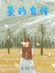 笔记本玩lol打团卡