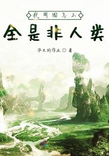 风属性搭配什么属性好呢