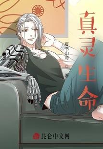 梦幻英雄诀