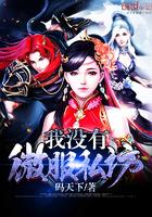 英雄无敌vip表